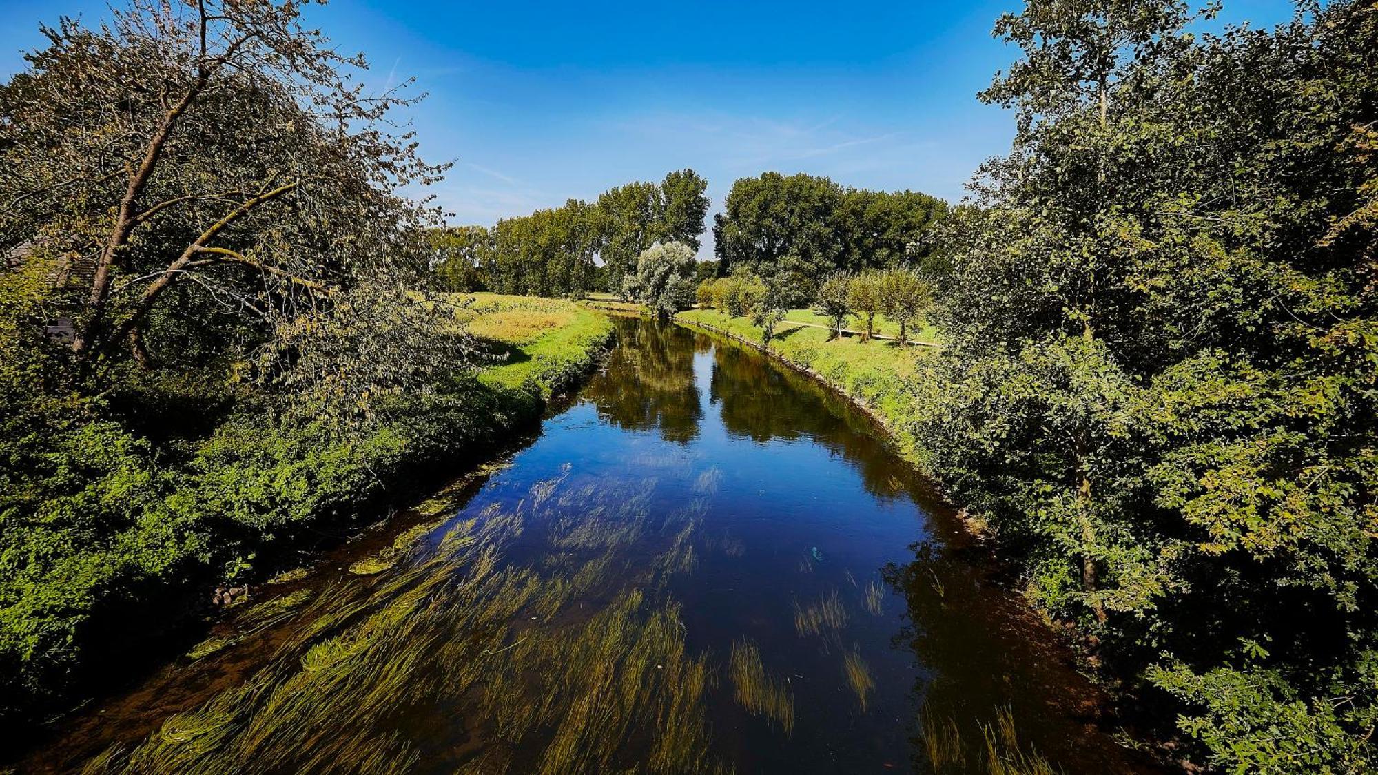 Wellings Parkhotel Камп-Лінтфорт Екстер'єр фото